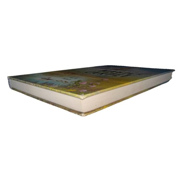 No Need For A Magic Carpet by Ivy R. Doherty 1962 Hardcover - Picture 3 of 9